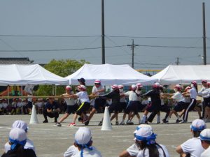 RIMG4363