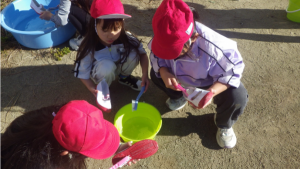 {0F9E3086-CB7F-4337-9B59-738FD36EABAB}