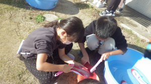 {38B903BE-8FC6-45B5-A32A-14FA661A1856}